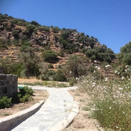 Loutra Olive Garden Stone House #2 Σπίτι διακοπών Μανδράκι