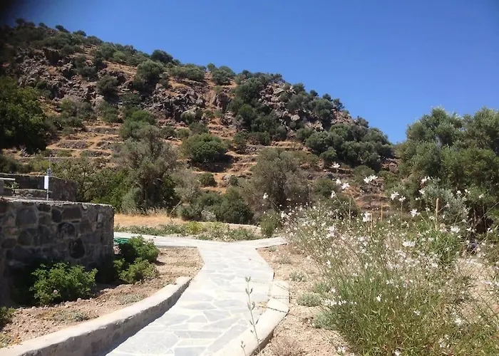 Loutra Olive Garden Stone House #2 Σπίτι διακοπών Μανδράκι