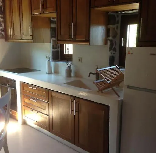 Loutra Olive Garden Stone House #2 Tatil Evi